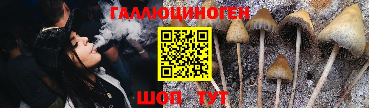 Галлюциногенные грибы мицелий Ипатово