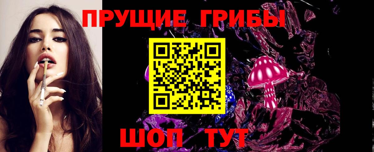 Псилоцибиновые грибы MAGIC MUSHROOMS  Галлюциногенные грибы Psilocybe  Ипатово  Вход с VPN 